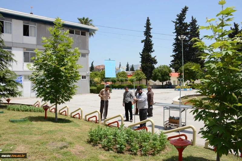 برگزاری نمایشگاه عکس« نور عشق»  4