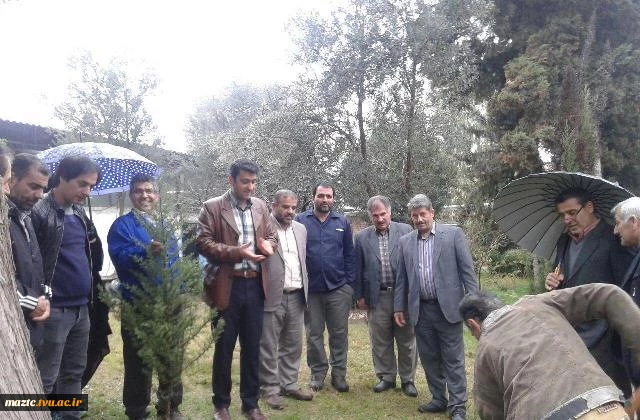 درختکاری و کاشت نهال در محوطه دانشکده  3
