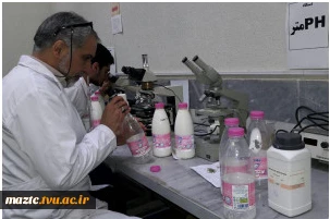 تبریک رییس دانشگاه فنی و حرفه ای استان مازندران به پژوهشگر برتر، مهندس ابراهیم نژاد 5