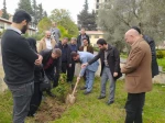 کاشت نهال در محوطه دانشگاه ملی مهارت استان مازندران به مناسبت گرامی‌داشت روز درختکاری  2
