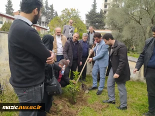 کاشت نهال در محوطه دانشگاه ملی مهارت استان مازندران به مناسبت گرامی‌داشت روز درختکاری  3