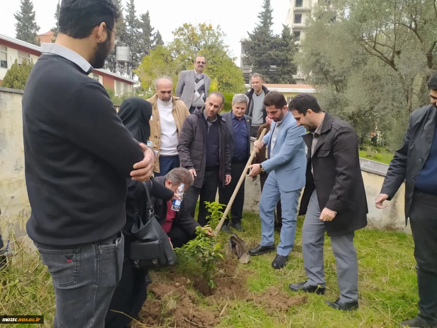 کاشت نهال در محوطه دانشگاه ملی مهارت استان مازندران به مناسبت گرامی‌داشت روز درختکاری  3