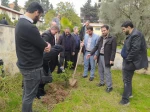 کاشت نهال در محوطه دانشگاه ملی مهارت استان مازندران به مناسبت گرامی‌داشت روز درختکاری  4