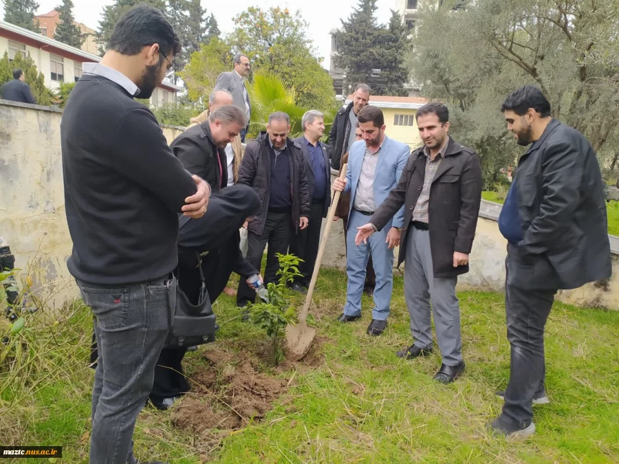 کاشت نهال در محوطه دانشگاه ملی مهارت استان مازندران به مناسبت گرامی‌داشت روز درختکاری  4