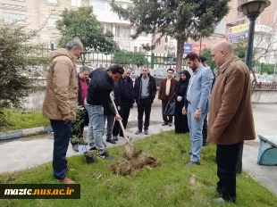 کاشت نهال در محوطه دانشگاه ملی مهارت استان مازندران به مناسبت گرامی‌داشت روز درختکاری  5