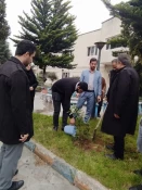 کاشت نهال در محوطه دانشگاه ملی مهارت استان مازندران به مناسبت گرامی‌داشت روز درختکاری  6