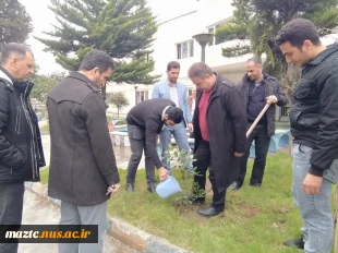 کاشت نهال در محوطه دانشگاه ملی مهارت استان مازندران به مناسبت گرامی‌داشت روز درختکاری  7