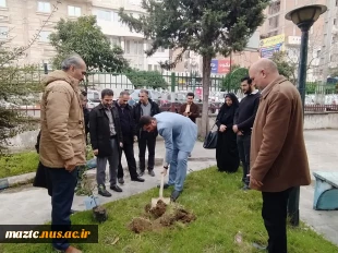 کاشت نهال در محوطه دانشگاه ملی مهارت استان مازندران به مناسبت گرامی‌داشت روز درختکاری  8