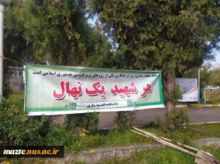 به مناسبت گرامیداشت هفته منابع طبیعی و روز درختکاری
در دانشکده ملی مهارت دختران ساری صورت گرفت  2