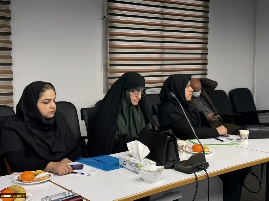 برگزاری کارگاه آموزشی اخلاق در پژوهش در دانشکده ملی مهارت امام محمد باقر (ع) ساری با حضور معاونت پژوهش و فناوری دانشگاه ملی مهارت  2