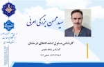 محسن بزرگی