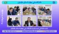 جلسه هیئت‌رئیسه دانشگاه ملی مهارت استان مازندران
