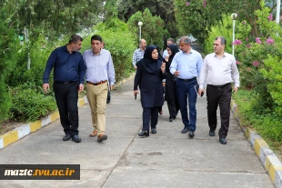 بازدید مدیرکل دفتر امور فنی و نظارت بر طرح‌های عمرانی از دانشگاه ملی مهارت استان مازندران 16