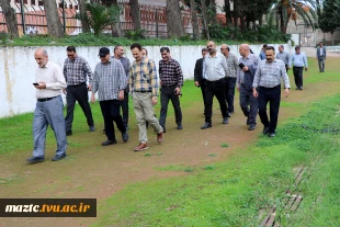 پیاده‌روی صبح‌گاهی کارکنان دانشکده امام محمدباقر(ع) ساری 3